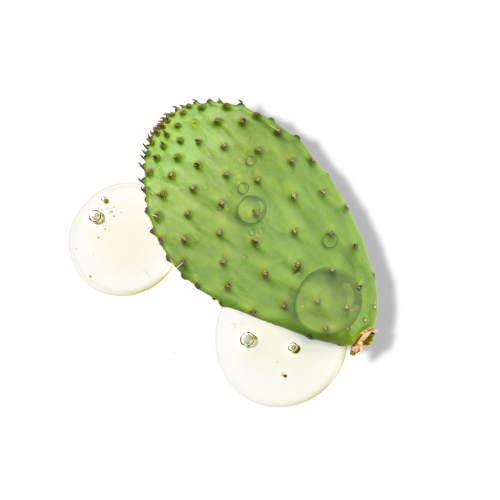 Pure Match Liquid Concealer 8N