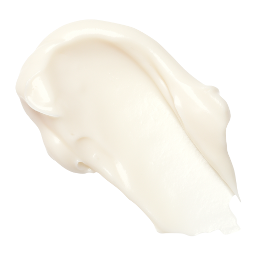 The Rich Moisturiser